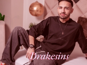 Drakesins