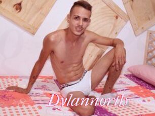 Dylan_north