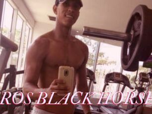 EROS_BLACK_HORSE