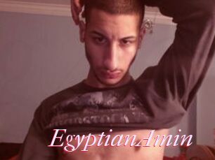 EgyptianAmin