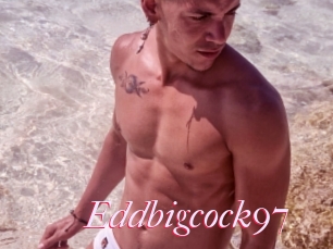 Eddbigcock97