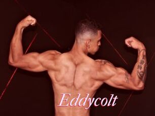 Eddycolt