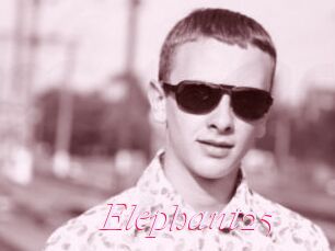Elephant25