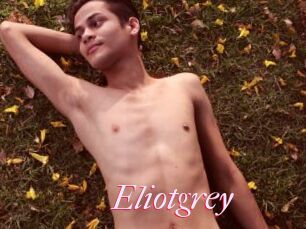 Eliotgrey
