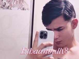 Ethaanbull18
