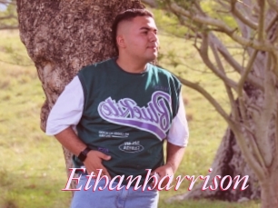 Ethanharrison