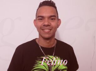 Felino
