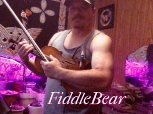 FiddleBear