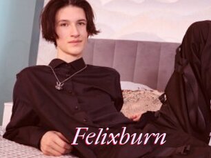 Felixburn