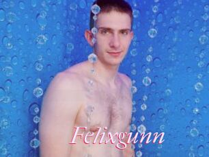 Felixgunn