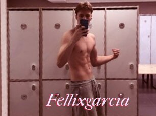 Fellixgarcia