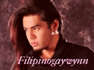 Filipinogaywynn