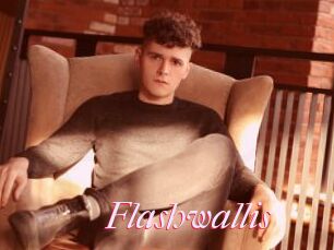 Flashwallis