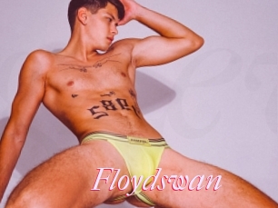 Floydswan