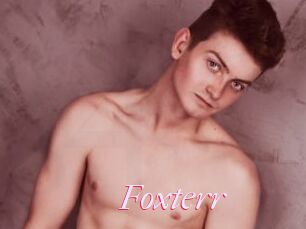 Foxterr