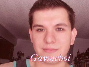 Gaymeboi