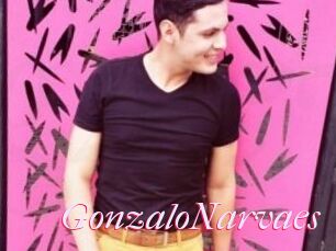 GonzaloNarvaes