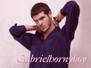 Gabrielhornyboy