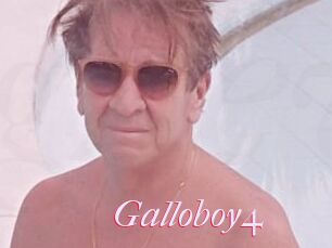 Galloboy4