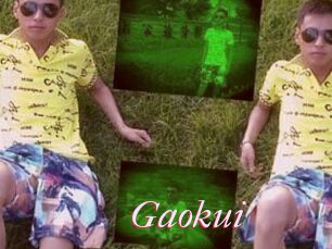 Gaokui
