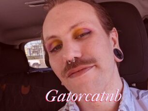 Gatorcatnb