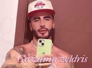 Gawainn_zeldris