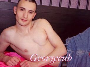 Georgecub