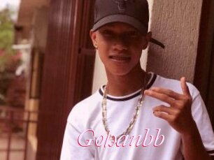 Gohanbb