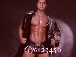 Gyo123456