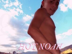 HOT_NOAH