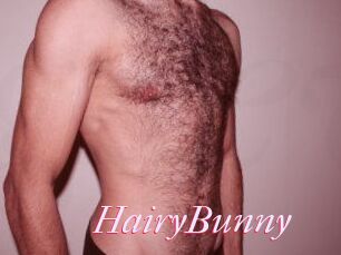 HairyBunny