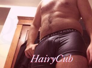 HairyCub