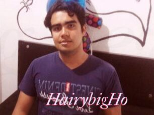 HairybigHo