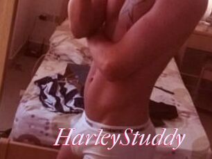 HarleyStuddy