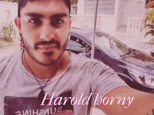 Harold_horny