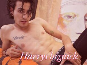 Harrys_bigstick