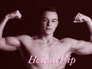 HeilgarVip
