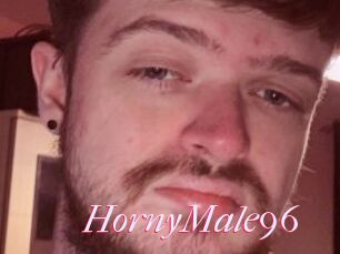 HornyMale96