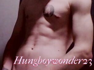 Hungboywonder23