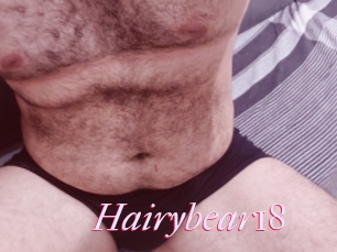 Hairybear18