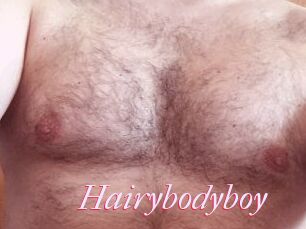 Hairybodyboy