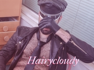 Hairycloudy