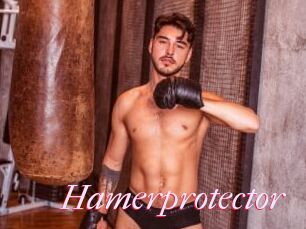 Hamerprotector