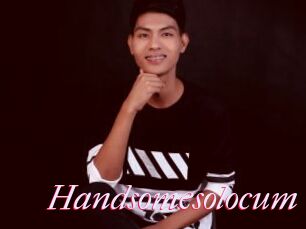 Handsomesolocum