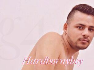 Hardhornyboy