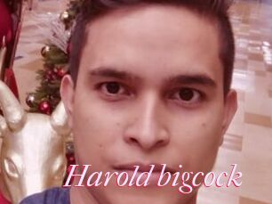 Harold_bigcock