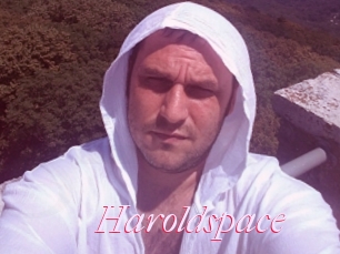 Haroldspace