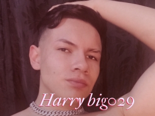 Harry_big029