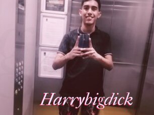Harrybigdick