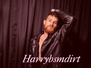 Harrybsmdirt
